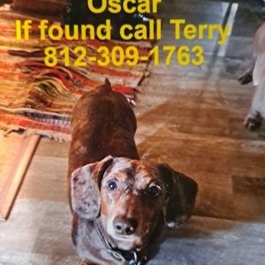 Meet your Posher, Jane